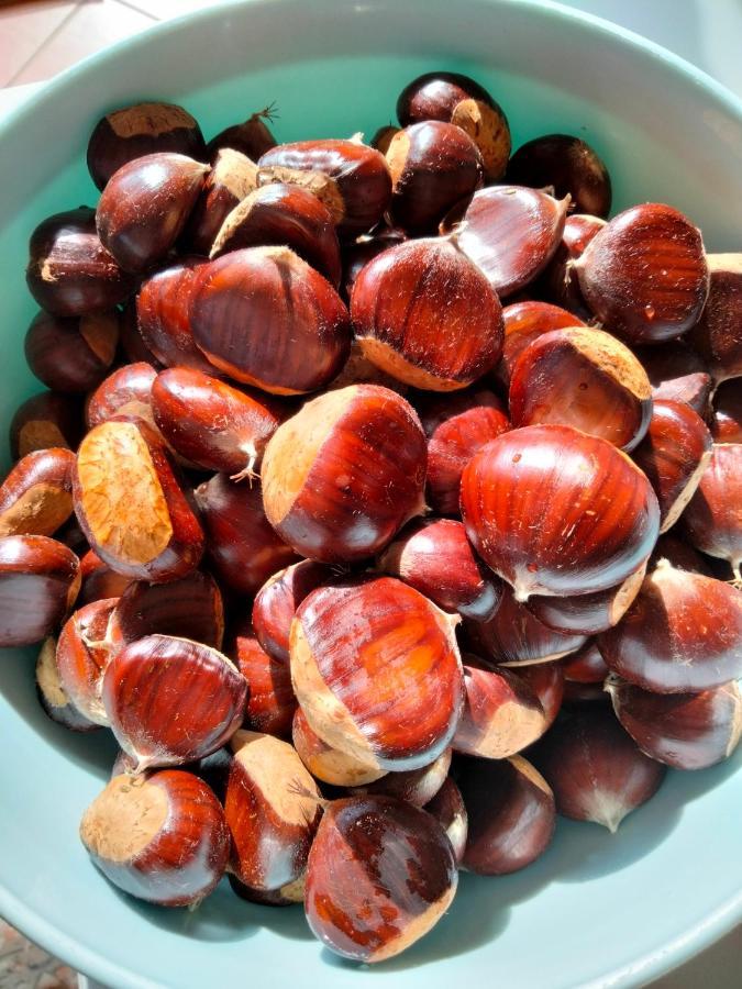 Appartamento AZZURRO Cannobio Esterno foto